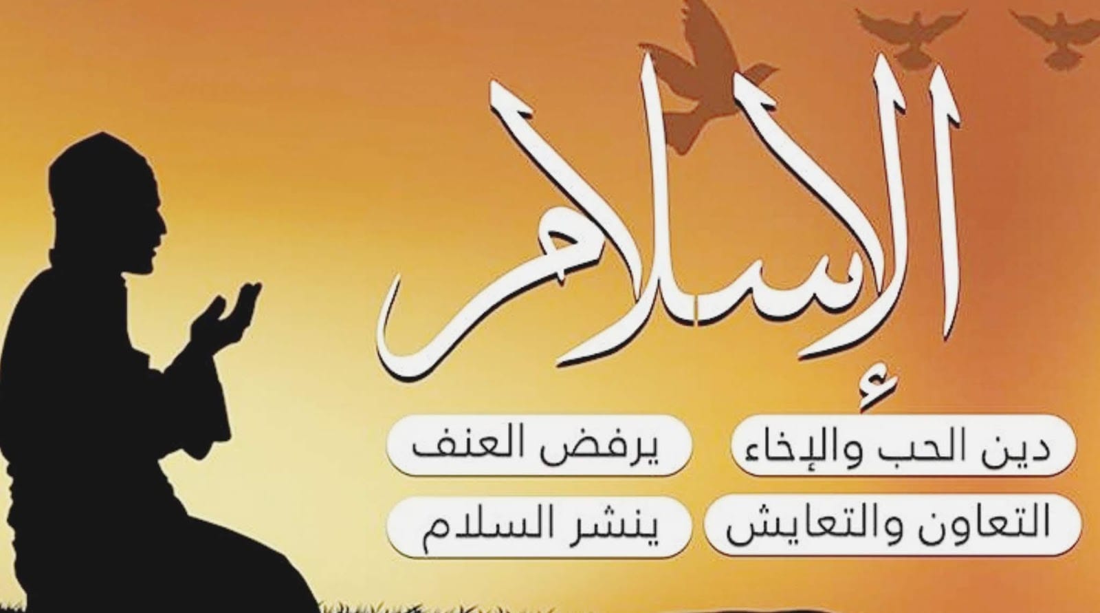 لماذا يدعو الدين الاسلامي الى التسامح والتعاون 20 لماذا يدعو الدين الاسلامي الى التسامح والتعاون