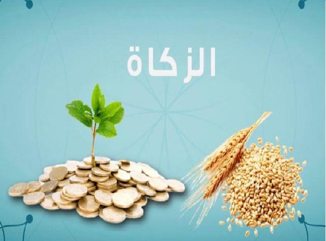 أخرج أحمد زكاة الفطر قبل صلاة الفجر من يوم العيد