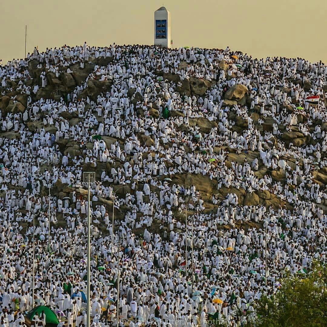 حكم تقديم أعمال يوم النحر بعضها على بعض 25 حكم تقديم أعمال يوم النحر بعضها على بعض