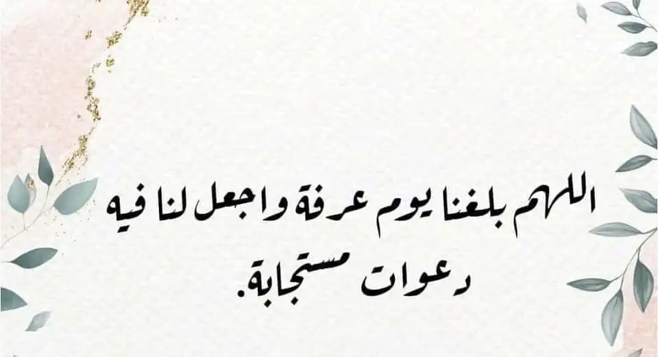 دعاء لزوجي في يوم عرفة 2022 ادعية يوم عرفة للزوج مكتوبة 3 دعاء لزوجي في يوم عرفة 2022 ادعية يوم عرفة للزوج مكتوبة