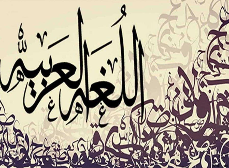 فضل المعلم في القرآن والسنَّة pdf