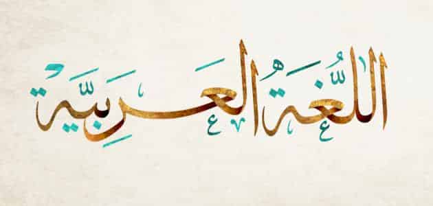 فضل المعلم في القرآن والسنَّة pdf