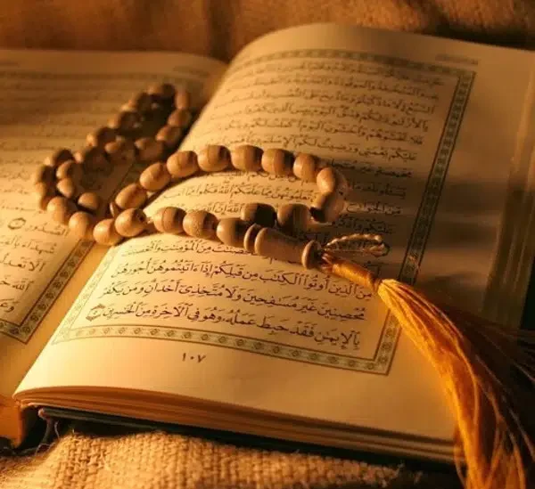 ما معنى صاحبته وفصيلته 2 ما معنى صاحبته وفصيلته