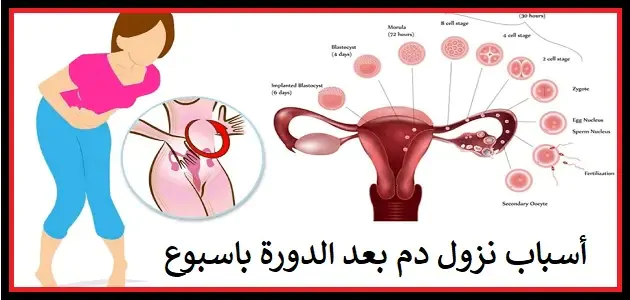 نزول الدم بعد الدوره بعشر ايام هل اصلي