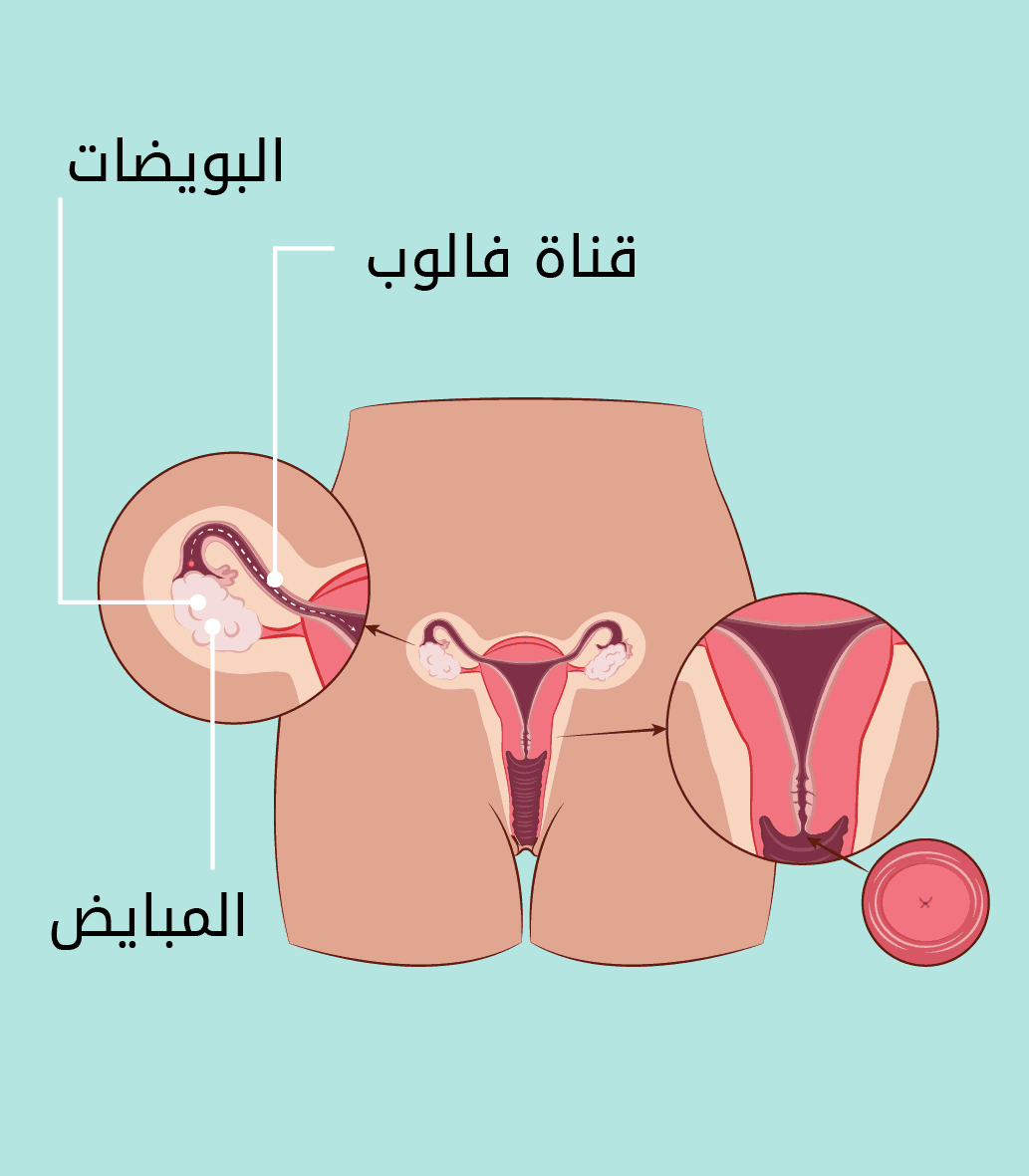 نزول الدم بعد الدوره بعشر ايام هل اصلي