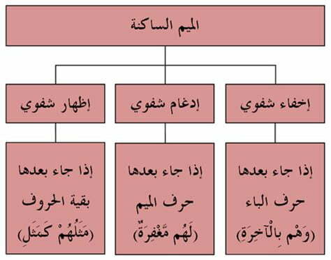 يأتي الإدغام من كلمة، ومن كلمتين