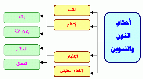 يأتي الإدغام من كلمة، ومن كلمتين