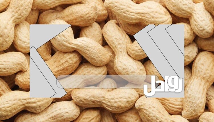 كم سعر السبال المملح بالامارات