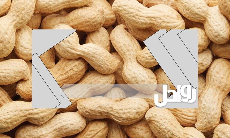 كم سعر السبال المملح بالامارات