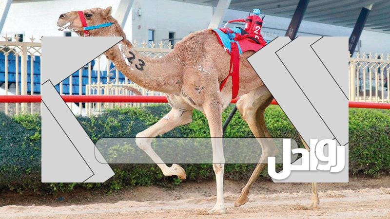 من هي صاحبة سيف الامارات المفتوح في مهرجان المرموم التراثي؟