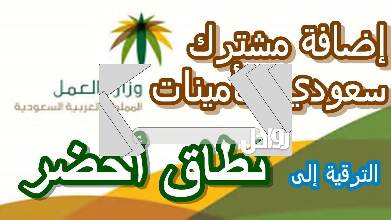 الاستعلام عن موظف سعودي مكتب العمل السعودي