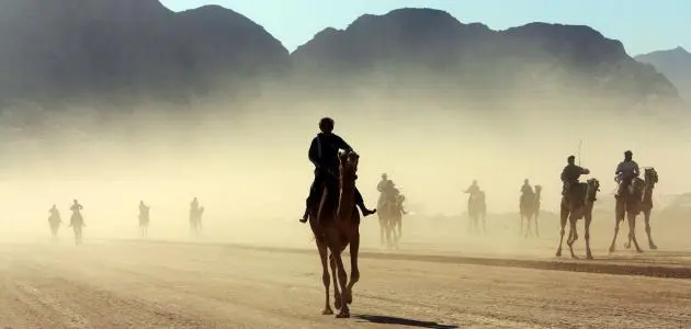 اول من اسلم من الرجال والنساء والأطفال بالتفصيل
