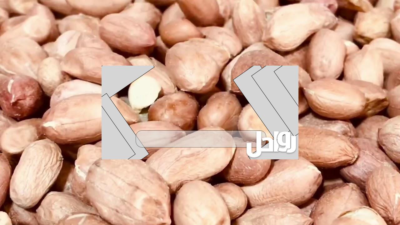 كم سعر السبال المملح بالامارات
