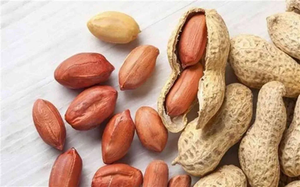 كم سعر السبال المملح بالامارات