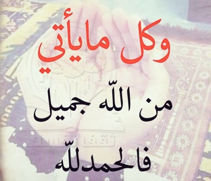 من هو حامل لواء الحمد يوم القيامة