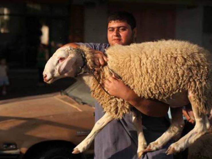 ايهما أولى الاضحية ام العقيقة وهل يجوز الجمع بينهما