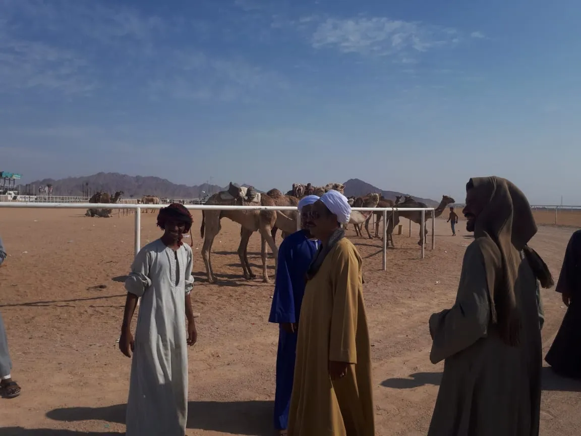 البراك وش يرجعون ، أصل عائلة البراك من وين