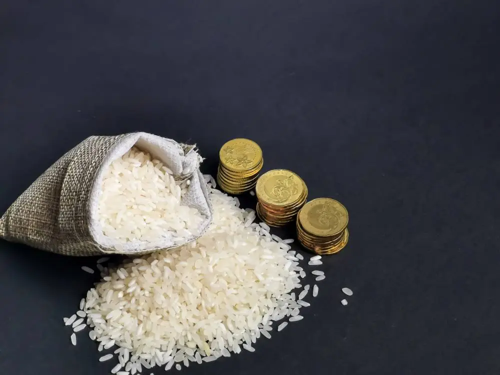 قيمة ومقدار زكاة الفطر نقدا بالريال القطري 2023