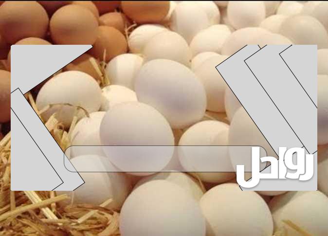 كم سعر طبق البيض في البحرين