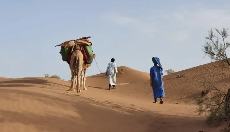 المورقي وش يرجع ، أصل عائلة المورقي وش يرجعون