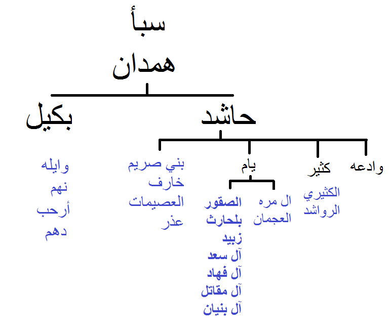 شجرة قبيلة ال مره قطر