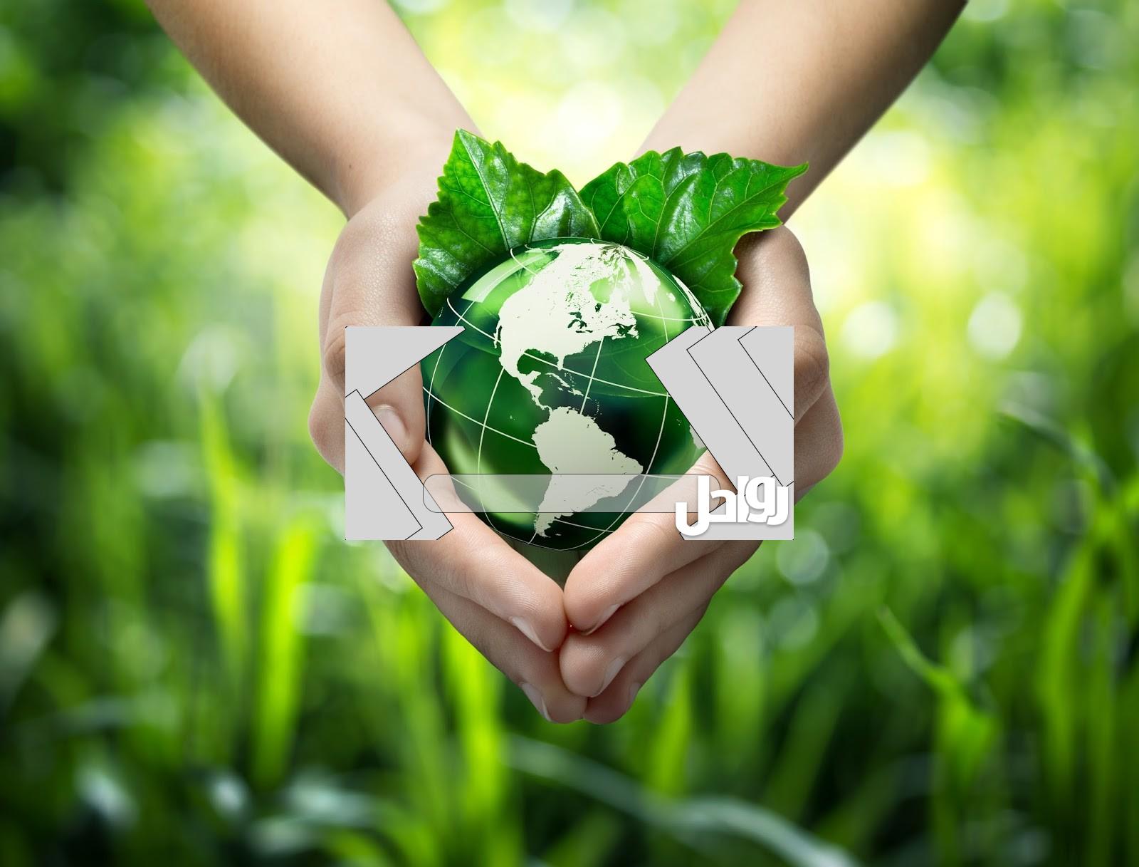 طرق حماية بيئة النباتات والحيوانات في الكويت