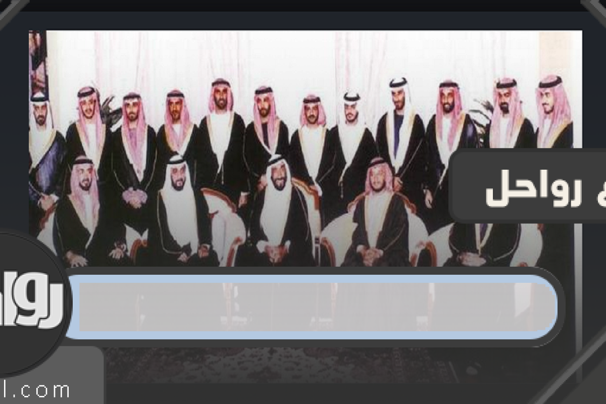 أبناء الشيخ زايد