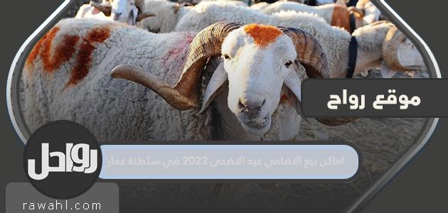 أين تبيع الأضاحي لعيد الأضحى 2022 في سلطنة عمان