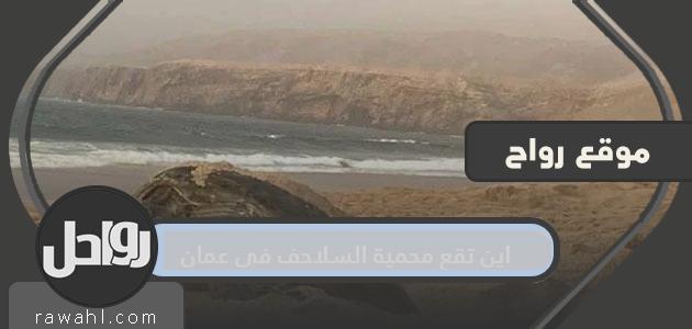 أين تقع محمية السلاحف في عمان؟