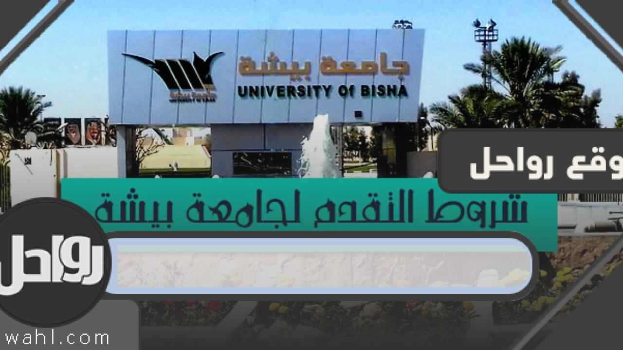 رابط منصة تعاون جامعة بيشة للتسجيل في الوظائف 1444