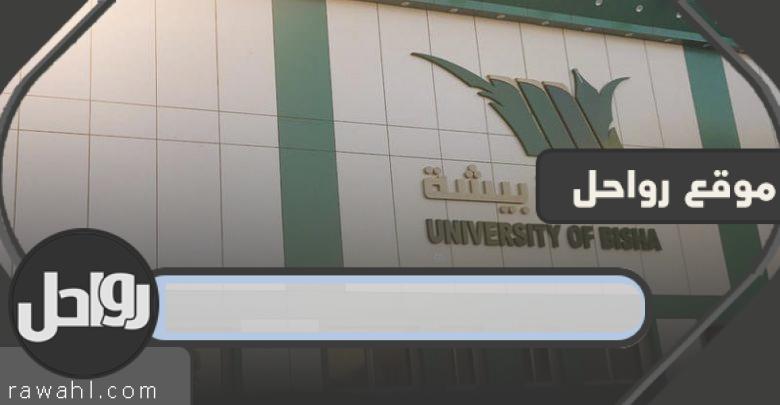 رابط منصة تعاون جامعة بيشة للتسجيل في الوظائف 1444