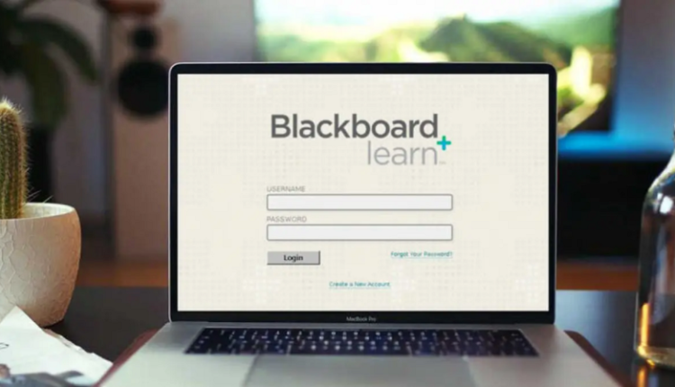 رابط بلاك بورد التقنية tvtc