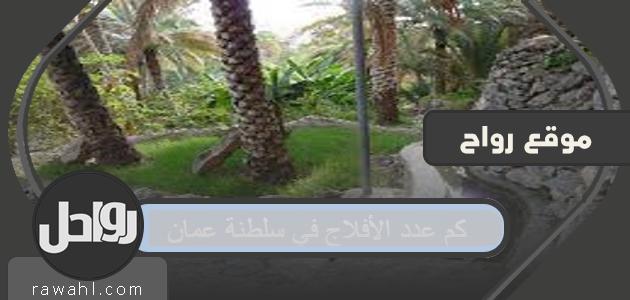 كم عدد الأفلاج الموجودة في سلطنة عمان؟