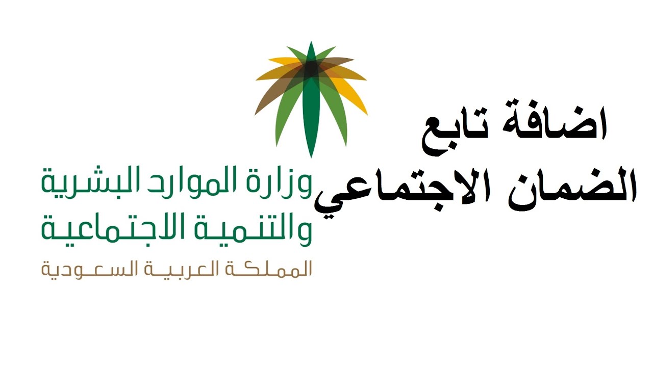 كيف اضيف تابع في الضمان