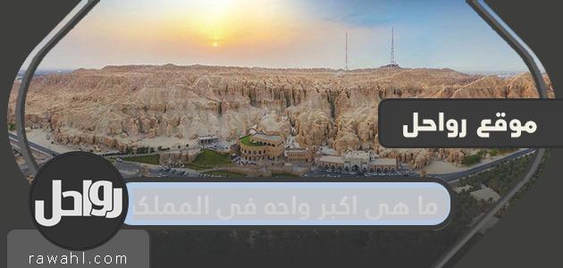 ما هي أكبر واحة في المملكة؟