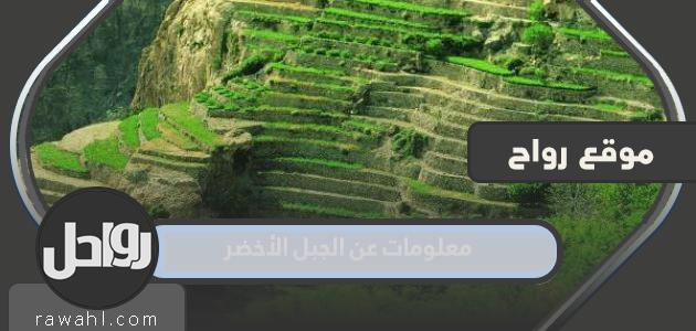 معلومات عن جرين ماونتن
