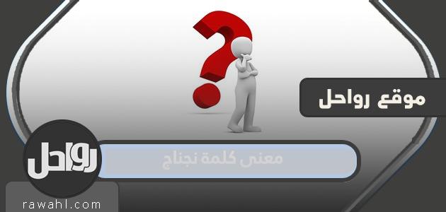 معنى كلمة نجناج


