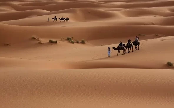 من هم العتوب