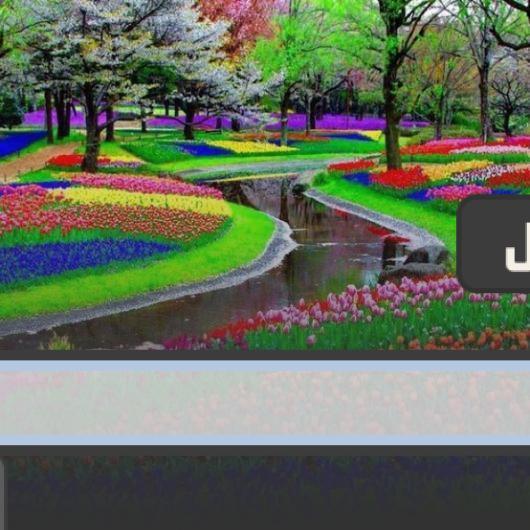 تكثر الزهور في الدمام او تبوك