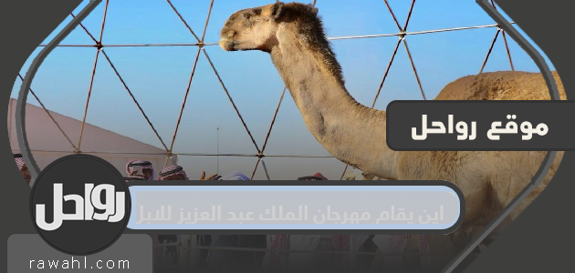 أين يقام مهرجان الملك عبد العزيز للإبل؟