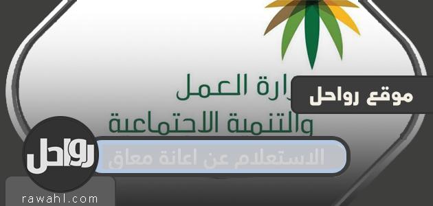 استعلام عن مخصصات الإعاقة وكيفية تحديث بيانات تقييم الإعاقة 25 استعلام عن مخصصات الإعاقة وكيفية تحديث بيانات تقييم الإعاقة