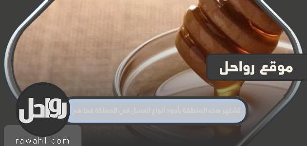 تشتهر هذه المنطقة بأجود أنواع العسل في المملكة فما هي؟