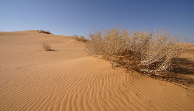 تقع أجزاء كبيرة من المملكة العربية السعودية في الداخل 3 تقع أجزاء كبيرة من المملكة العربية السعودية في الداخل