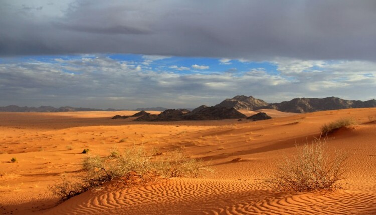 تقع أجزاء كبيرة من المملكة العربية السعودية في الداخل 2 تقع أجزاء كبيرة من المملكة العربية السعودية في الداخل