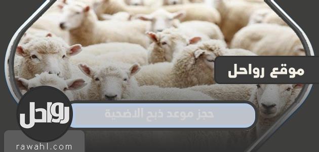 حجز موعد الذبح في الكويت عبر منصة Meta.e.gov.kw