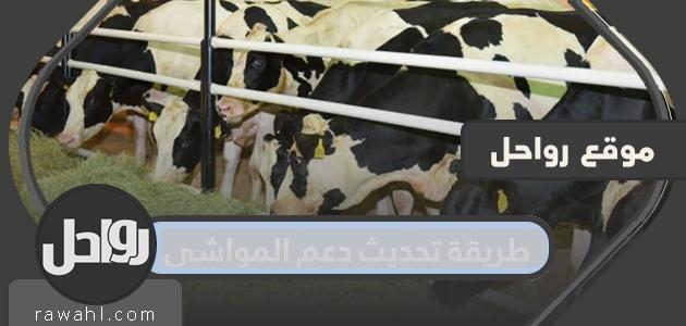 طريقة تحديث دعم الثروة الحيوانية