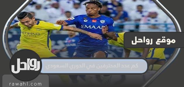 عدد المحترفين في الدوري السعودي