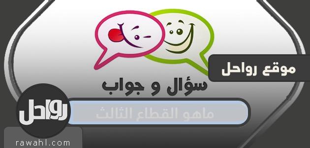 ما هو القطاع الثالث ، دوره الفعال وأهميته في رؤية المملكة 2030؟
