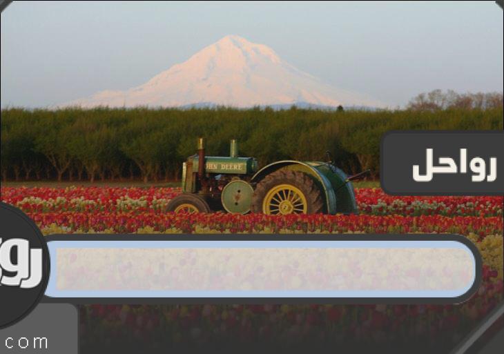 رتكثر الزهور في الدمام او تبوك