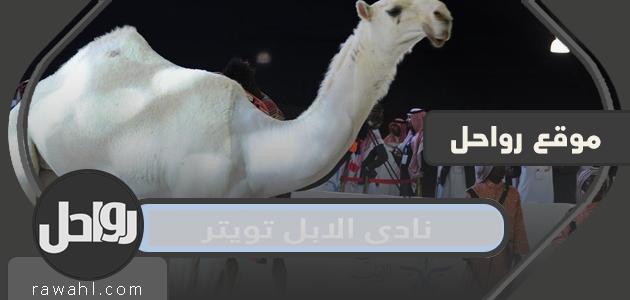 نادي الهجن تويتر